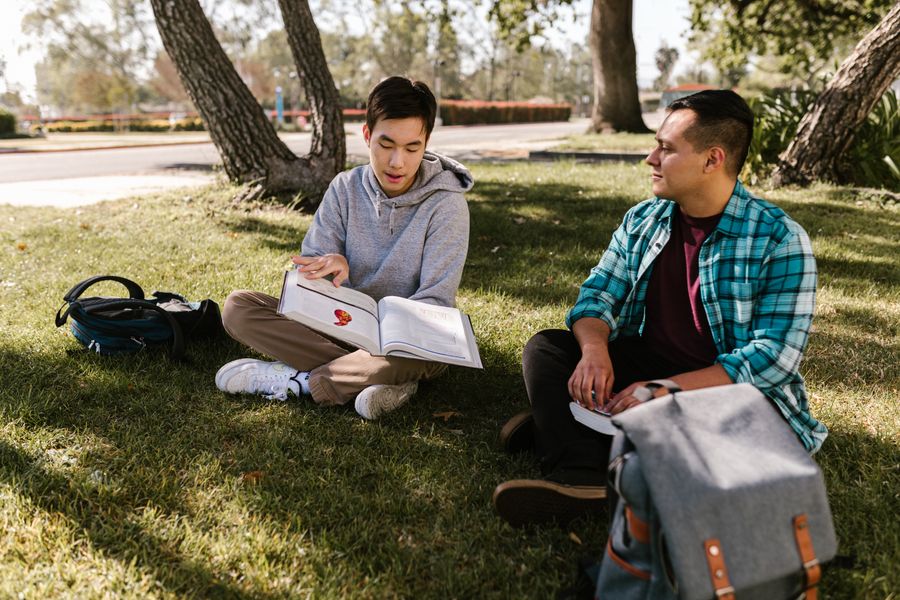 Estudiantes universitarios estudiando al aire libre